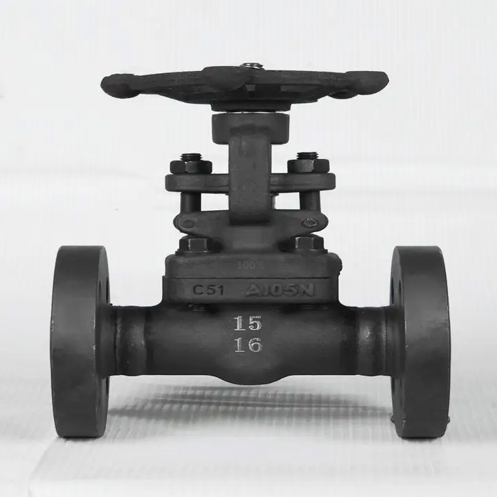 API 602 Forged Gate Valve