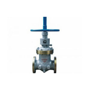 PSB Bonnet Gate Valve