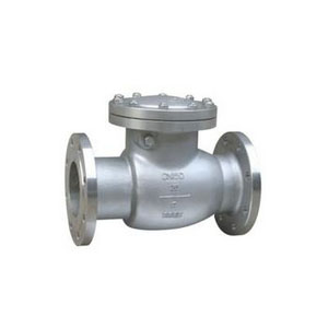 Ngiringake Disc Swing Priksa Valve